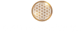 The Electric Eats