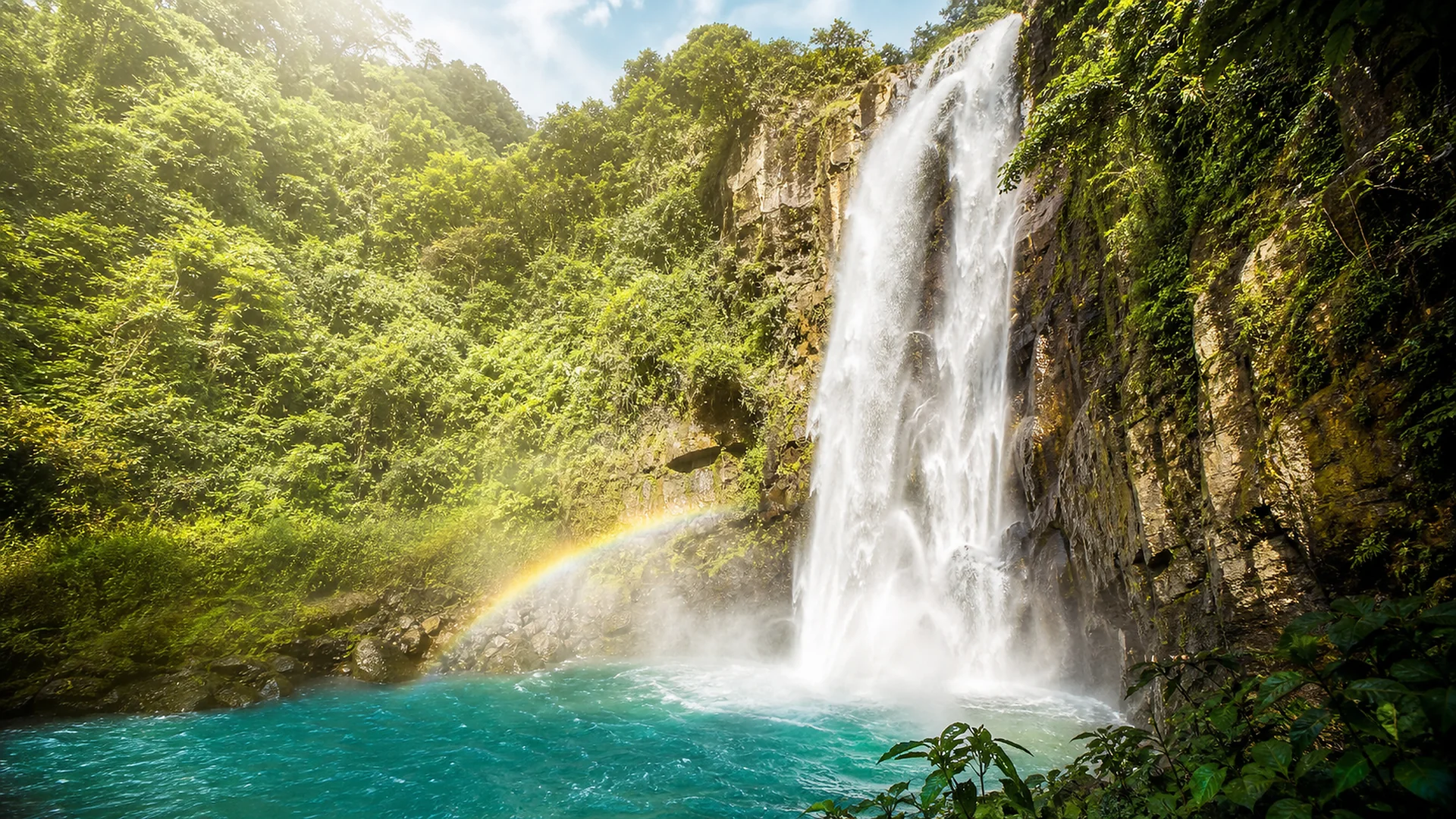 Clear water falling through the cloud forest