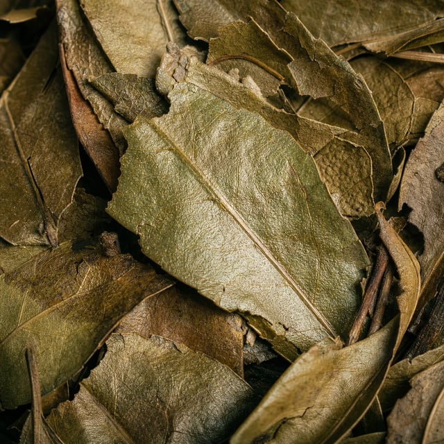 Guayusa botanicals up close