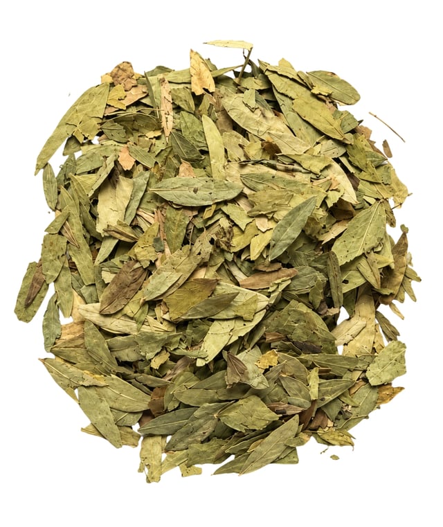 Whole dried Senna leaves on a clean white background