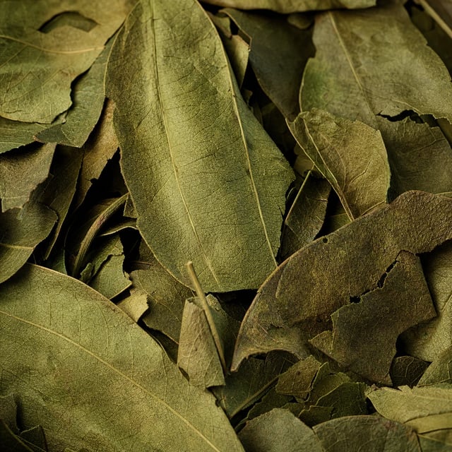 Soursop botanicals up close