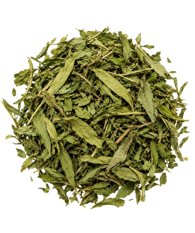 Whole dried Stevia leaves on a white background