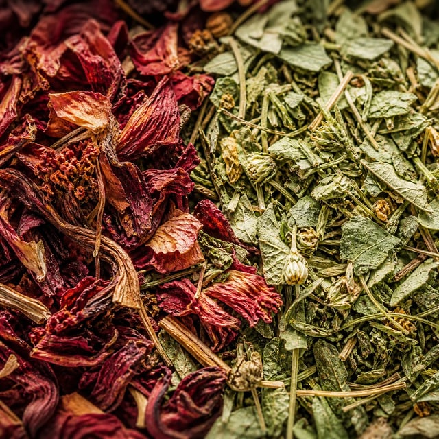 Her Fertile Waters botanicals up close
