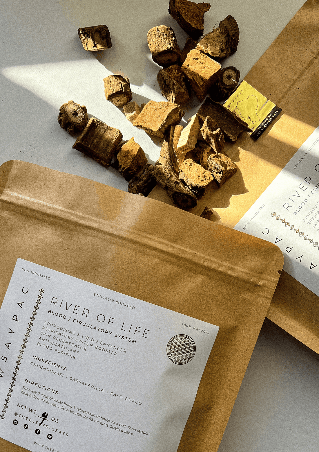 River of Life - Blood + Circulatory System